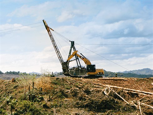 Forestry _excavator