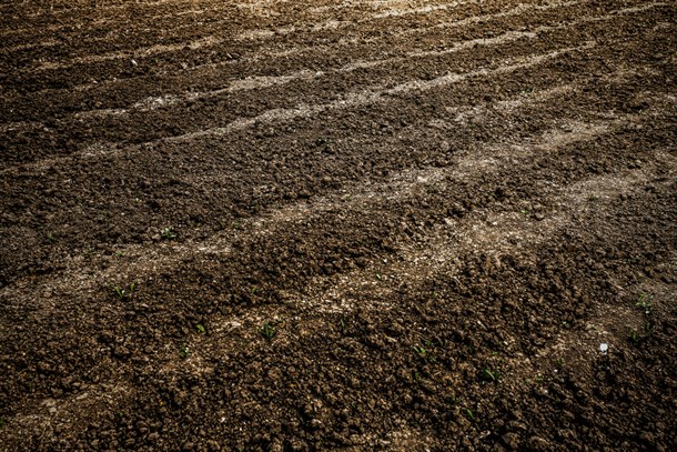 Conservation Tillage