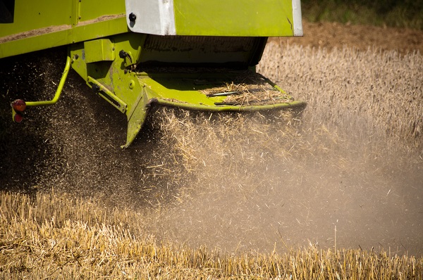 Straw Chaff Waste From Combine Harvester