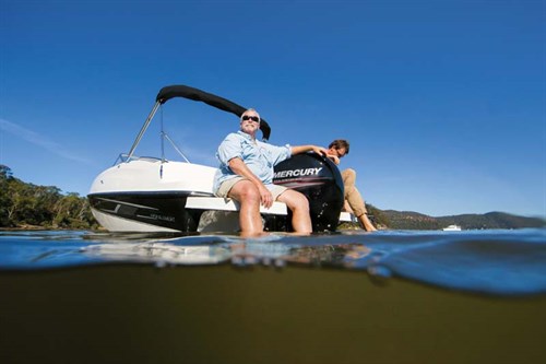 Bayliner 190 Deck Boat at rest