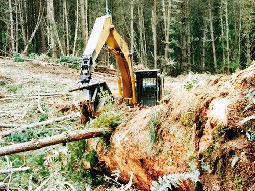 Logging3