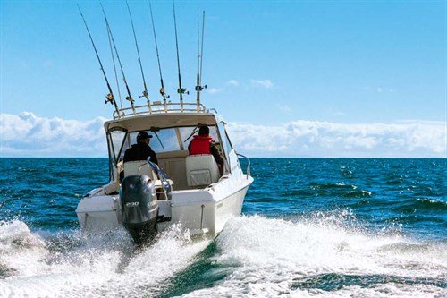 Caribbean Reef Runner Hardtop