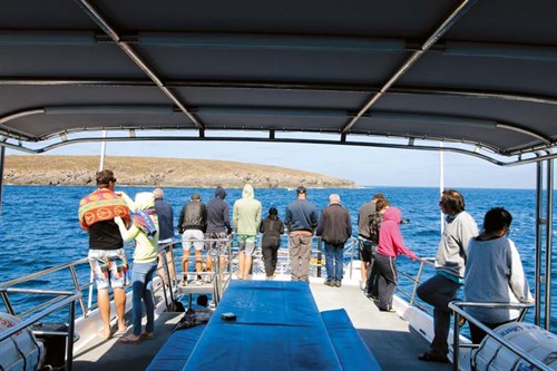 Stable deck on Calypso charter