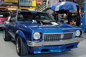 Project -torana