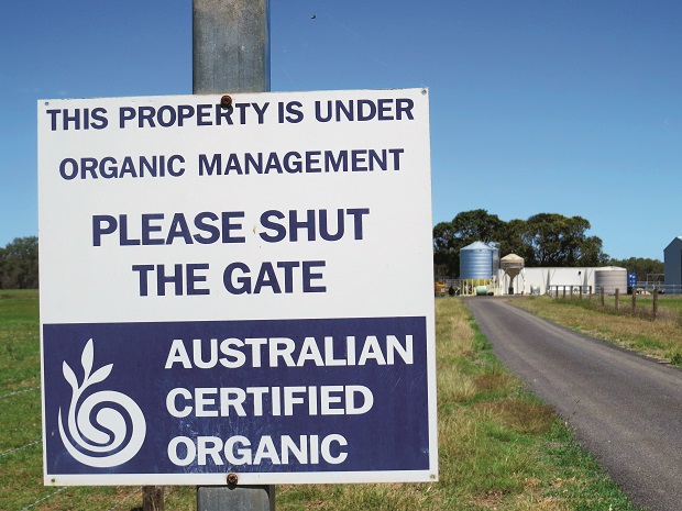 Rob Cook Profile _Australian Certified Organic Beef _3381
