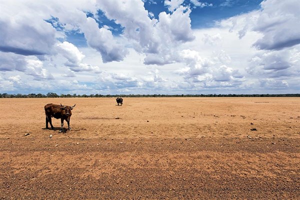 Drought stricken QLD