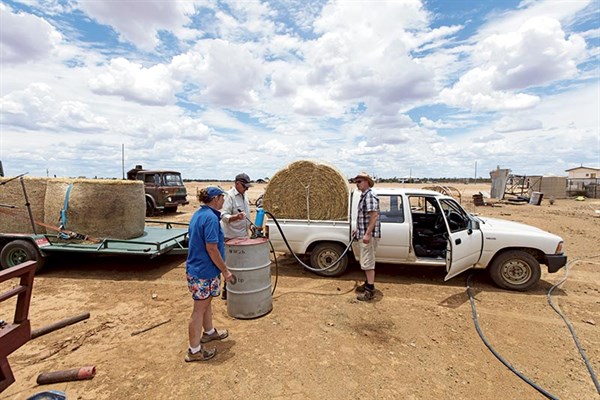 1989 Toyota Hilux Workmate