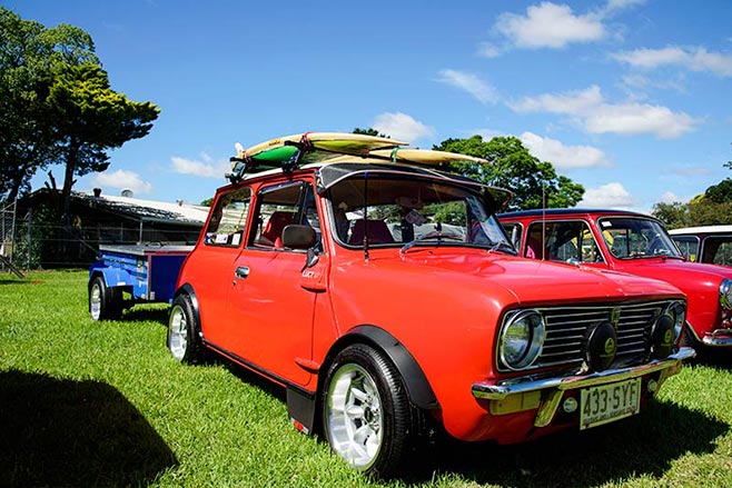Minis -in -the -Gong -41-658