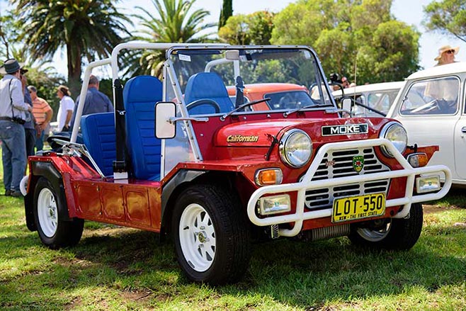 Minis -in -the -Gong -63-6598