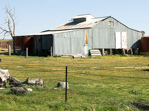 Australian shearing shed
