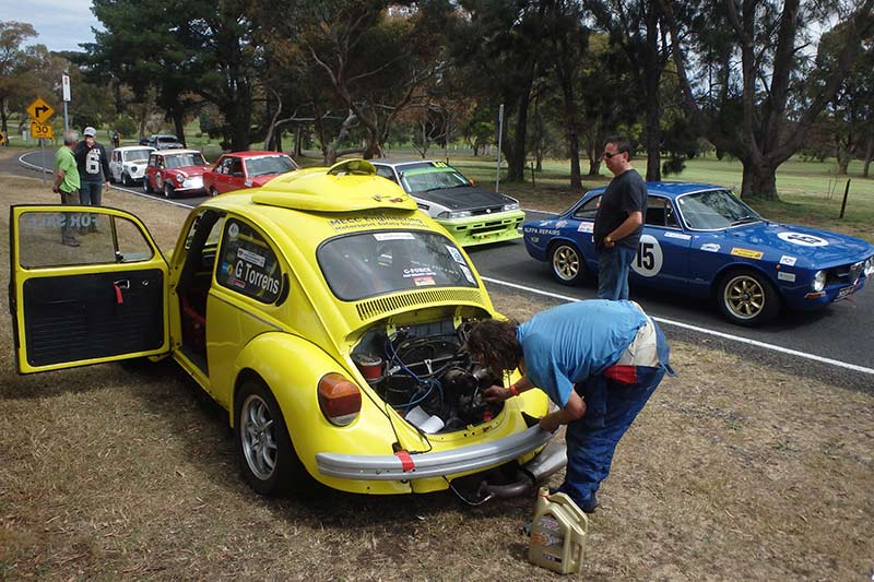 Torrens -beetle -5