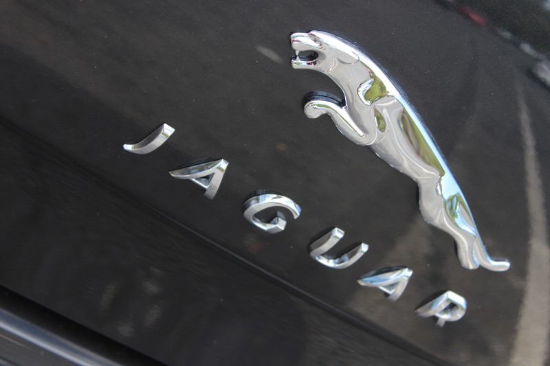 Jaguar -badge -2