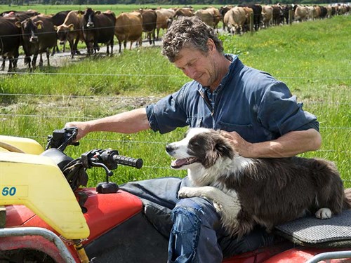 Farmers -stress -banks -NZ