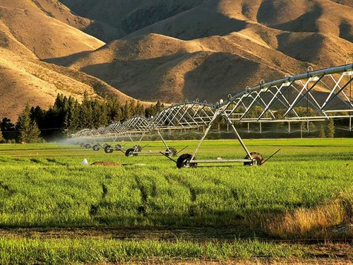 Anti -farming -sentiment -NZ