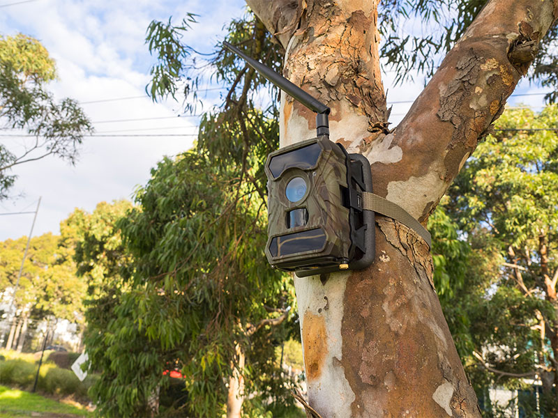 Silvan Selecta wide angle motion activated security camera mounted to a tree