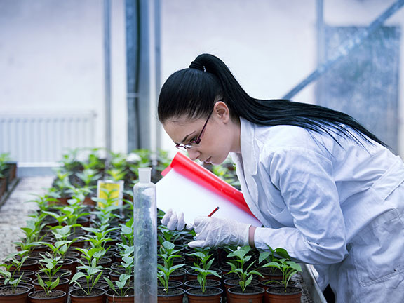 A scientist using genetics tech on plants
