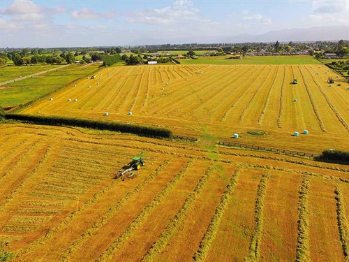 Farmland