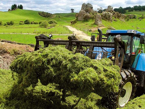 Greatsilage