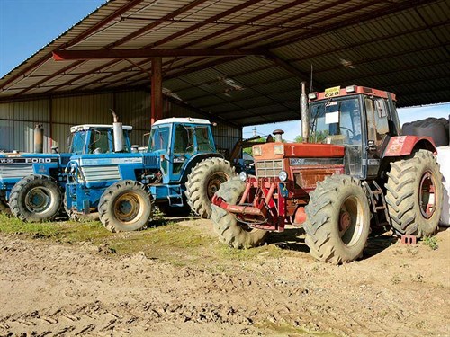 Romania -farming