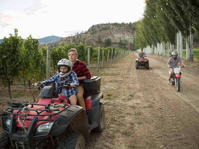 Brothers and sister riding quadbikes and motorcycle on dirt road in vineyard