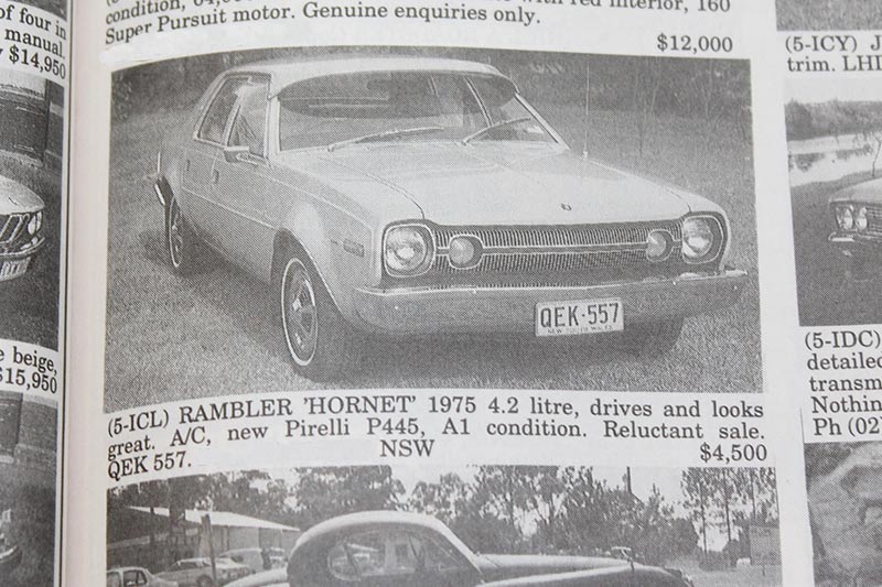 Rambler -hornet