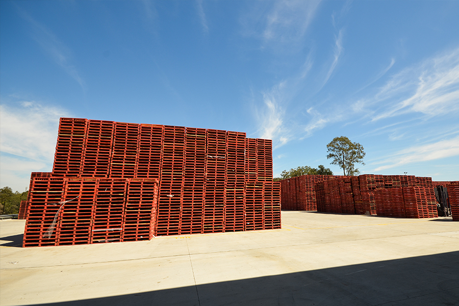 Loscam’s Rockleigh pallet repair facility News