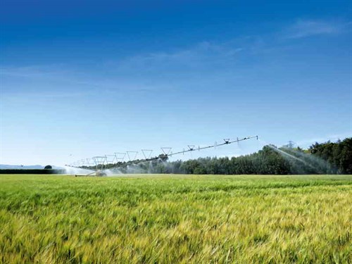 Irrigation -NZ-1