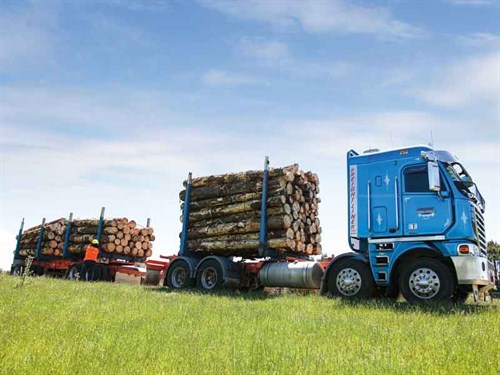 Logging -truck