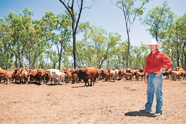 Fred Appleton -Appleton Pastoral Company