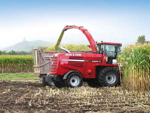 Harvesting -the -maize