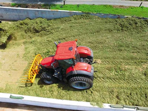 Stacking -grass -silage -in -the -bunker