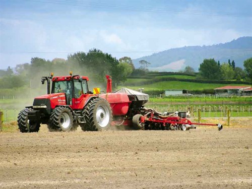 Planting -maize -in -spring