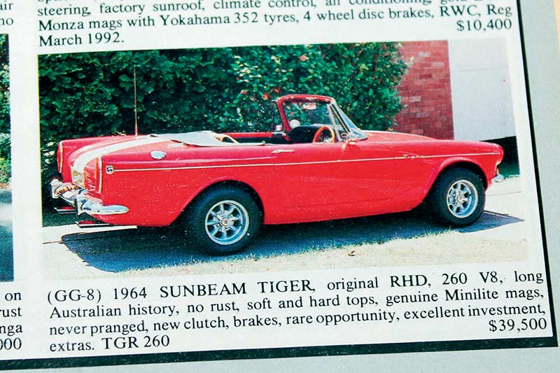 Sunbeam -tiger