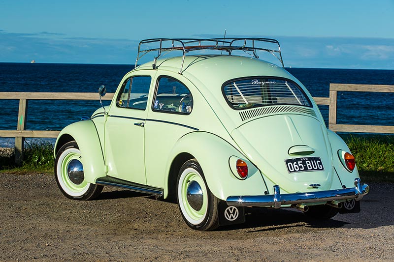 Vw -beetle -rear