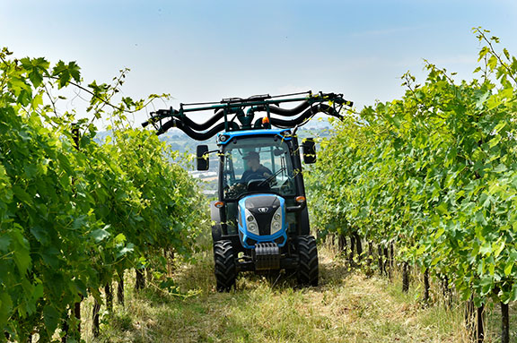 The Landini Rex 4 working at a vineyard