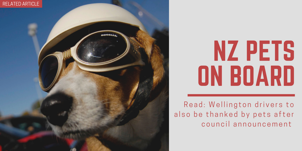  Related article: Wellington drivers to also be thanked by pets after council announcement 