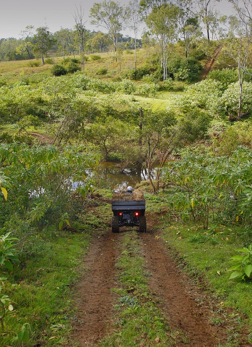 TGB Blade 550AR ATV 10