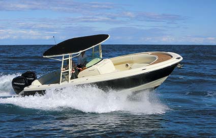 CHRIS CRAFT CATALINA 29